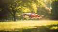 Vibrant Zbrush Art: Majestic Red Shark Soaring Over Lush Grass