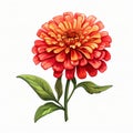 Vibrant Zinnia Clipart: Orange Flower With Green Leaves On White Background