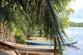 Empty multicolored boats moored under trees on the riverbank near the forest. Parnaiba River, Northeast Brazil, MaranhÃÂ£o.