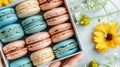 Vibrantly colored macarons in a decorative box held by a hand, a delicious and tempting treat.