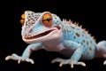 Vibrantly colored tokay gecko, displaying striking blue and orange patterns, tropical lizard