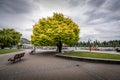 Rain clouds gather over Queenstown Royalty Free Stock Photo