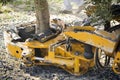 Vibrating machine in an olive tree