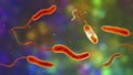 Vibrio cholerae bacteria, 3D illustration Royalty Free Stock Photo