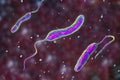 Vibrio cholerae bacteria, 3D illustration Royalty Free Stock Photo