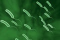 Vibrio cholerae bacterium Royalty Free Stock Photo