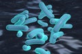 Vibrio cholerae bacterium Royalty Free Stock Photo