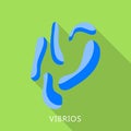 Vibrios icon, flat style