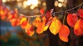 vibrnt fall leaves on a string Royalty Free Stock Photo