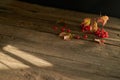 Viburnum berries and yellowed leaves on the surface of old wood boards. Royalty Free Stock Photo