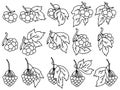 Viburnum bunch outline set, coloring page or outline for design