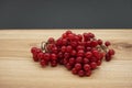 Viburnum close-up. Red viburnum. Red berries of Viburnum.