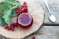 Viburnum fruit jam in a glass jar on a wooden table near the ripe red viburnum berries. Source of natural vitamins. Used in folk Royalty Free Stock Photo