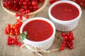 Viburnum jam Royalty Free Stock Photo