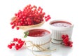 Viburnum jam Royalty Free Stock Photo