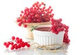 Viburnum jam Royalty Free Stock Photo