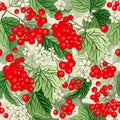 Viburnum rowan red berry flower seamless vector pattern background. Autumn floral fruit bouquet Royalty Free Stock Photo