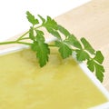 Vichyssoise Royalty Free Stock Photo