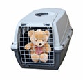 Vicious caged bear Royalty Free Stock Photo