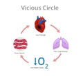 Vicious circle diagram. Conceptual illustration of the heart damage pathophysiology