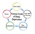 Cycle of Sleep Deprivation