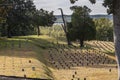 Vicksburg National Cemetery at Vicksburg National Military Park Mississippi.