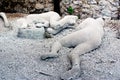 A victim in Pompeii of the eruption of Mt Vesuvius Royalty Free Stock Photo