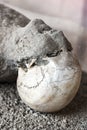 Victim in pompeii of the eruption of mt vesuvius Royalty Free Stock Photo