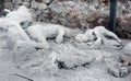 A victim in Pompeii of the eruption of Mt Vesuvius Royalty Free Stock Photo