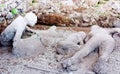 A victim in Pompeii of the eruption of Mt Vesuvius Royalty Free Stock Photo