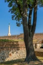 Victor monument, symbol of Belgrade, at Belgrade fortress, Kalemegdan in Serbia