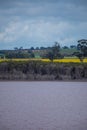 Victoria, Australia. Canola Fields Blooming