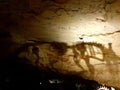 Victoria Fossil Cave, Naracoorte Caves National Park Royalty Free Stock Photo