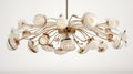 Victoria Modern Alyo Chandelier - High Detailed Organic Lighting