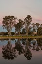 Victoria Park Lake in Shepparton, Australia Royalty Free Stock Photo