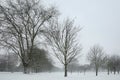 Victoria Park in London under snow.