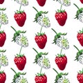 Victoria's basket. Seamless pattern. Watercolor botanical illustration of strawberries isolated on white background