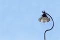 Victorian antique lamp post and large bulb lantern black and blue sky