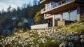 Organic Modernism: Daisies Blooming Near House And Hillside