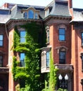 Victorian brownstone ivy