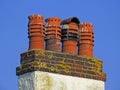 Victorian chimney stack pots rooftop Royalty Free Stock Photo