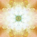 VICTORIAN FLOWER MANDALA IN WHITE AND ORANGE PASTEL, ABSTRACT IMAGE, PASTEL COLORS, PETALS IN LIGHT COLORS