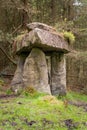 Standing stones of the Druids Plantation in Nidderdale