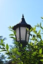 Victorian lamp surrounded by leafy green foilage during Spring