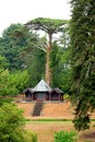 Victorian summer house in English garden Royalty Free Stock Photo