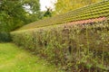 victorian wall with roof tiles Royalty Free Stock Photo