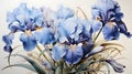 Victorian watercolor botanical drawing of a light blue iris. Antique worn and faded white background.