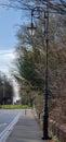 Victoriana style Street light with trees behind Royalty Free Stock Photo
