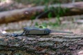 Victorinox Swiss Soldier`s Knife Model 08, standard army issue model with extended saw blade on tree trunk in forest
