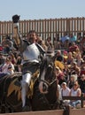 A Victorious Knight at the Arizona Renaissance Festival Royalty Free Stock Photo